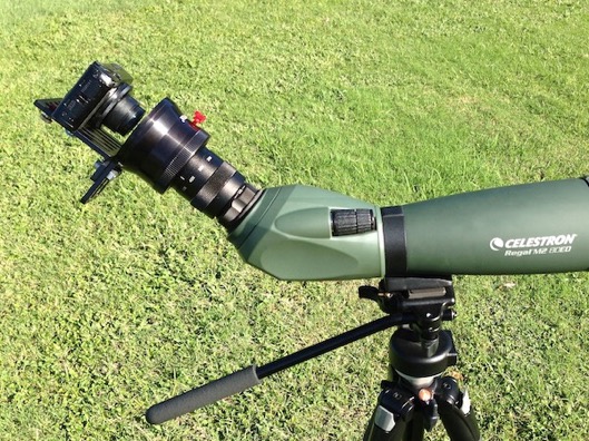celestron